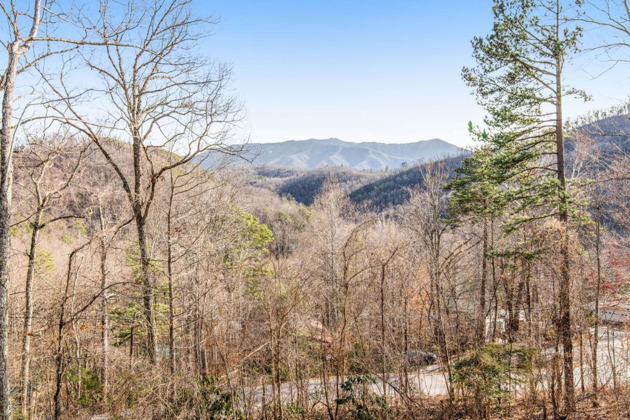 蓋特林堡Triple Mountain View别墅 外观 照片